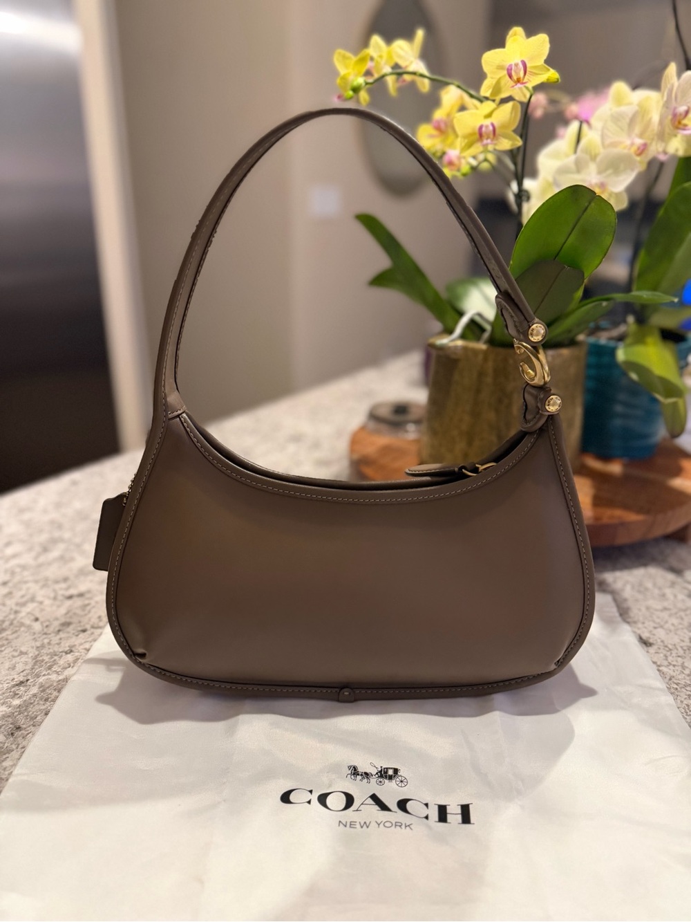 Coach Eve Shoulder Bag CM530 Glovetanned Leather hobo Dark Stone - Picture 2 of 7